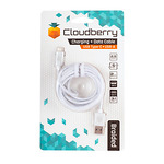 Cloudberry-USB-Type-C-31-vastupidav-andmekaabel-valge-25-m