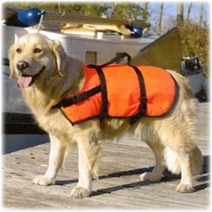 38-7106 | Marinepool koera päästevest, XL