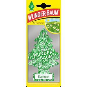 41-1236 | Wunderbaum lõhnakuusk Everfresh