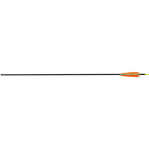 55-05139 | Ek Archery süsinikkiudnooled 30'' 6 tk