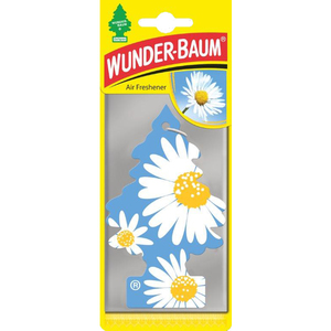 65-00920 | Wunderbaum lõhnakuusk Daisy