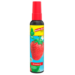 65-02444 | Wunder-Baum Pump spray Strawberry pihustiga õhuvärskendaja, 100 g