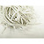 90-00365 | Lumo välisvalgustikomplekt 300 külm valge