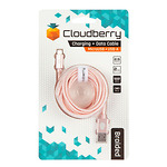 Cloudberry-MikroUSB-vastupidav-andmekaabel-25-m-kuldroosa