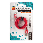 Cloudberry-USB-Type-C-31-vastupidav-andmekaabel-punane-25-m