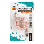 Cloudberry-USB-Type-C-31-vastupidav-andmekaabel-25-m-roosakuld