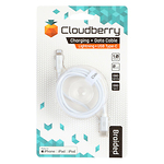 Cloudberry-USB-Type-C-31---Lightning-vastupidav-andmekaabel-valge-1-m