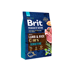 Brit-Premium-by-Nature-Sensitive-koeratoit-lambaliha-tundliku-seedimisega-koera