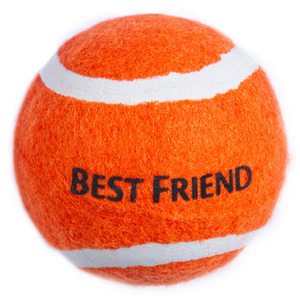 96-01102 | Best Friend Ball tennisepall