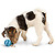 96-01240 | Best Friend Tiny Chewers koera mänguasi