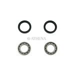 98-12317 | Athena rattalaagrikomplekt Suzuki RM-Z 250
