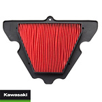 98-16243 | Kawasaki OE õhufilter (11013-0712)